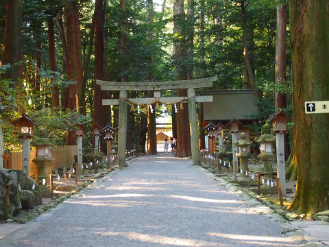 椿大神社-5.jpg