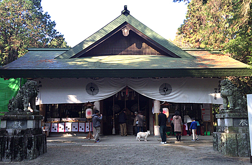 2016年松阪神社.jpg